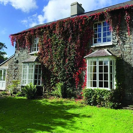 Pontyclerc Farm House Bed And Breakfast Ammanford Exterior photo