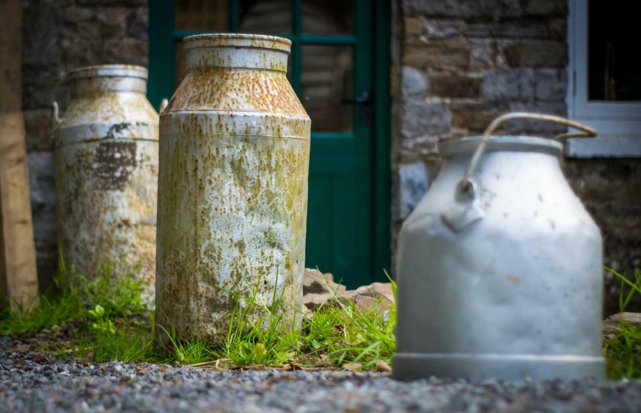 Pontyclerc Farm House Bed And Breakfast Ammanford Exterior photo